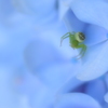 溶け込んで...