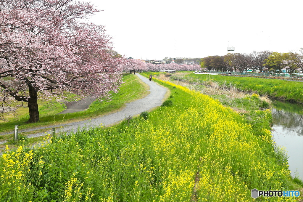 石橋から