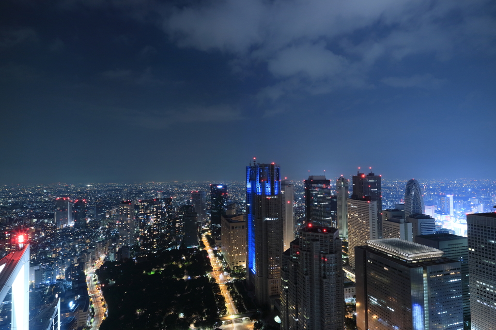 新宿夜景1