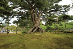 兼六園