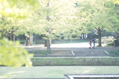陽だまりの午後