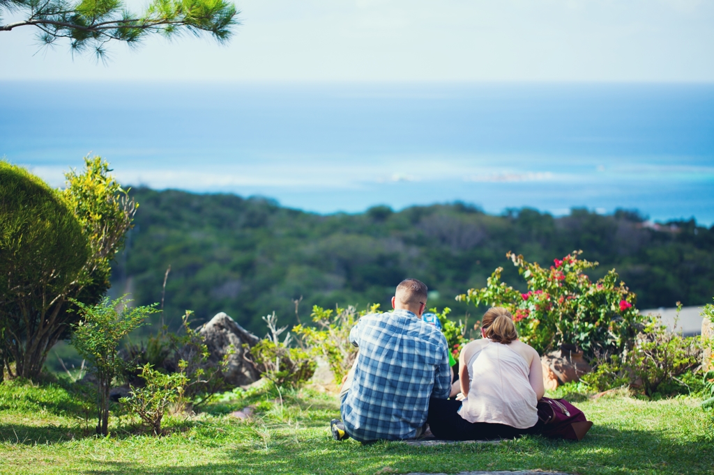 空！海！家族！