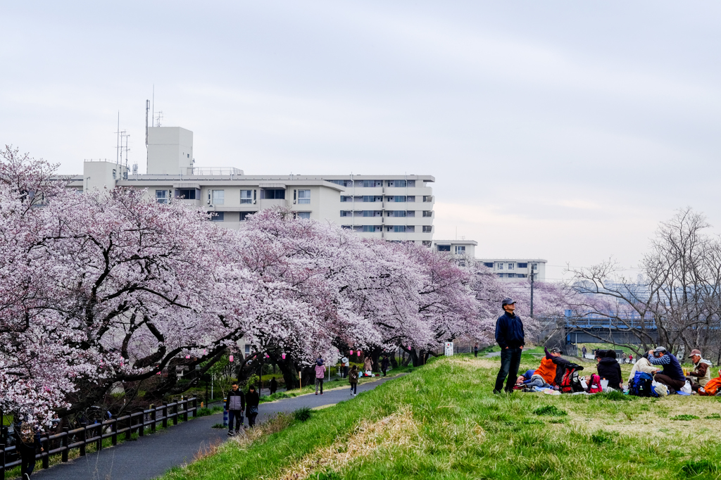 花と人と