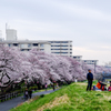 花と人と