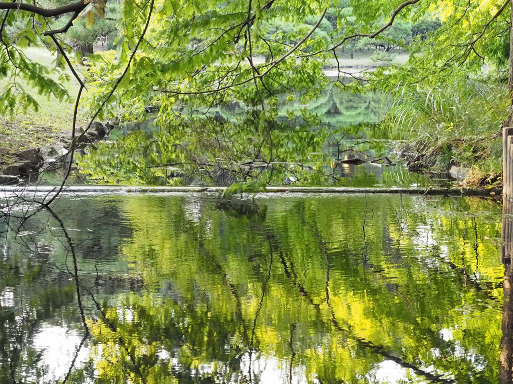 花はいいですがこういった風景も好きです　1