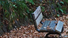 緑地内の寂しい雰囲気のベンチ