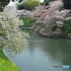 打合せ帰りに　3