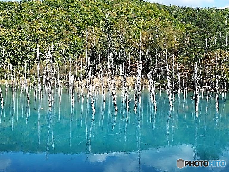 3連休で北海道へ行ってきました　２