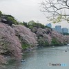 打合せ帰りに　2