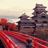 松本城と紅葉