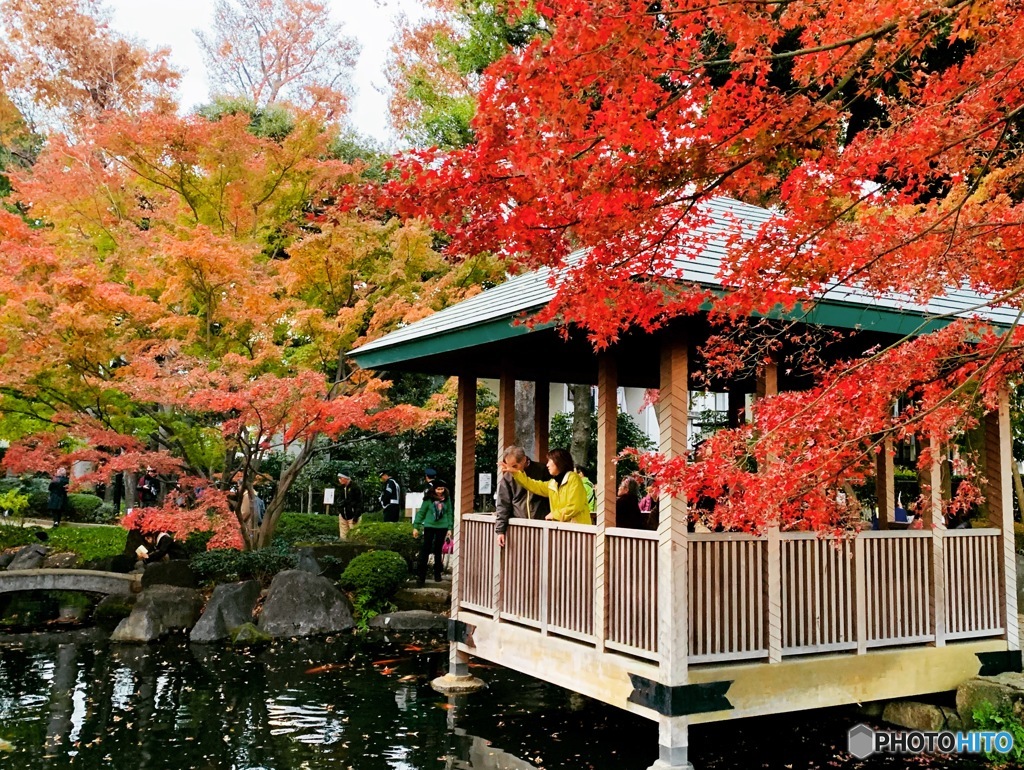 赤色黄色の紅葉と池のコラボ