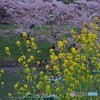 打合せ帰りに　4