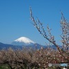 商談帰りに寄ってみました　8
