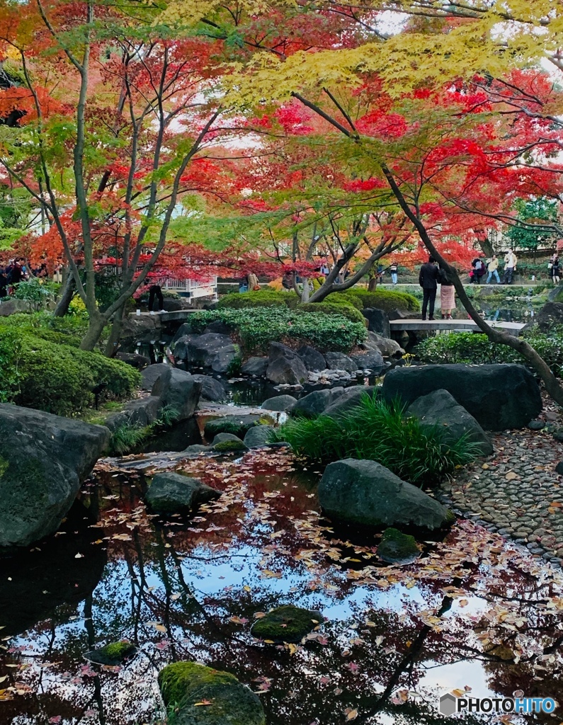 杉並区の打ち合わせ帰りに寄ってみました＜大田黒公園＞　３