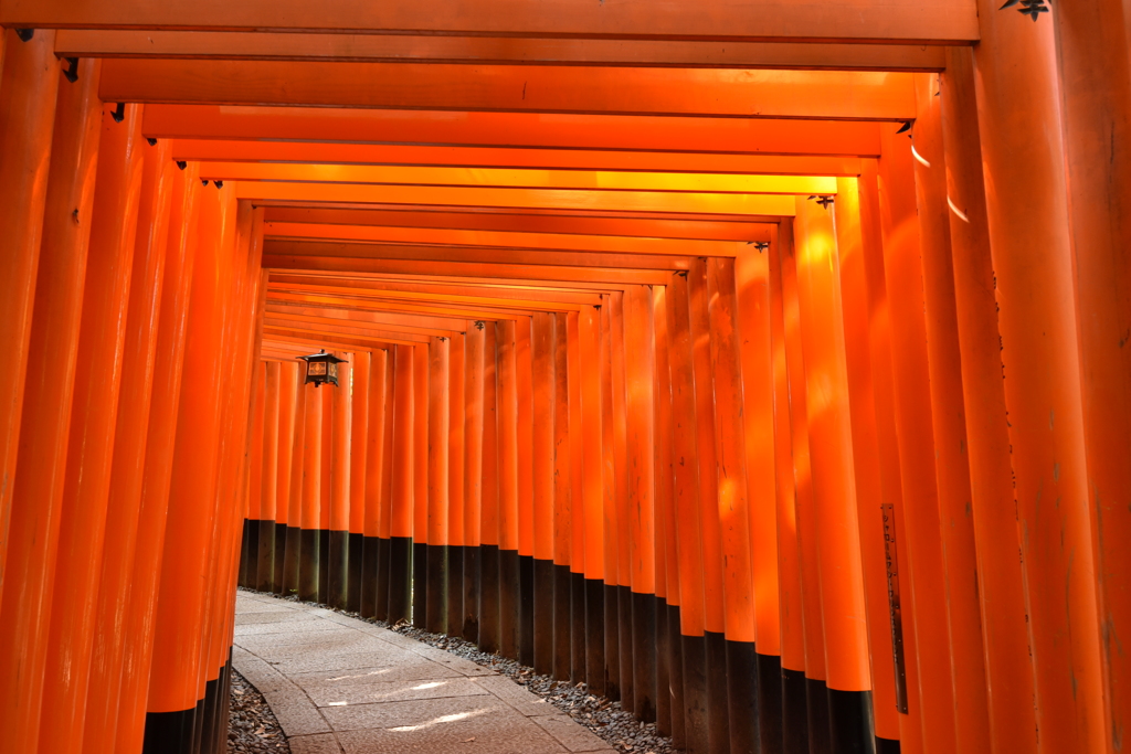 鳥居の先は