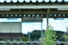 野蒜駅3