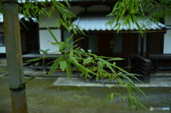 笹から瑞厳寺