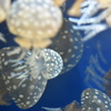 名古屋港水族館～クラゲ