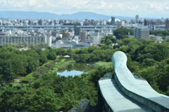 名古屋城展望台からの景色