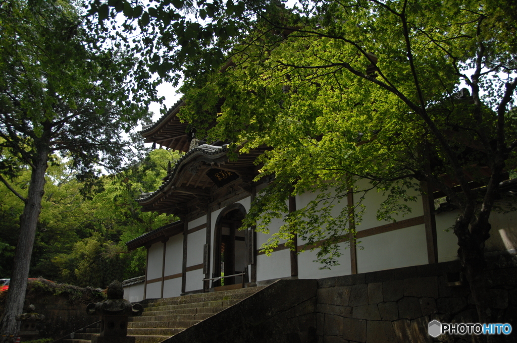 大照院①