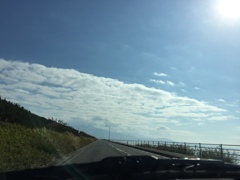 車中からの撮影