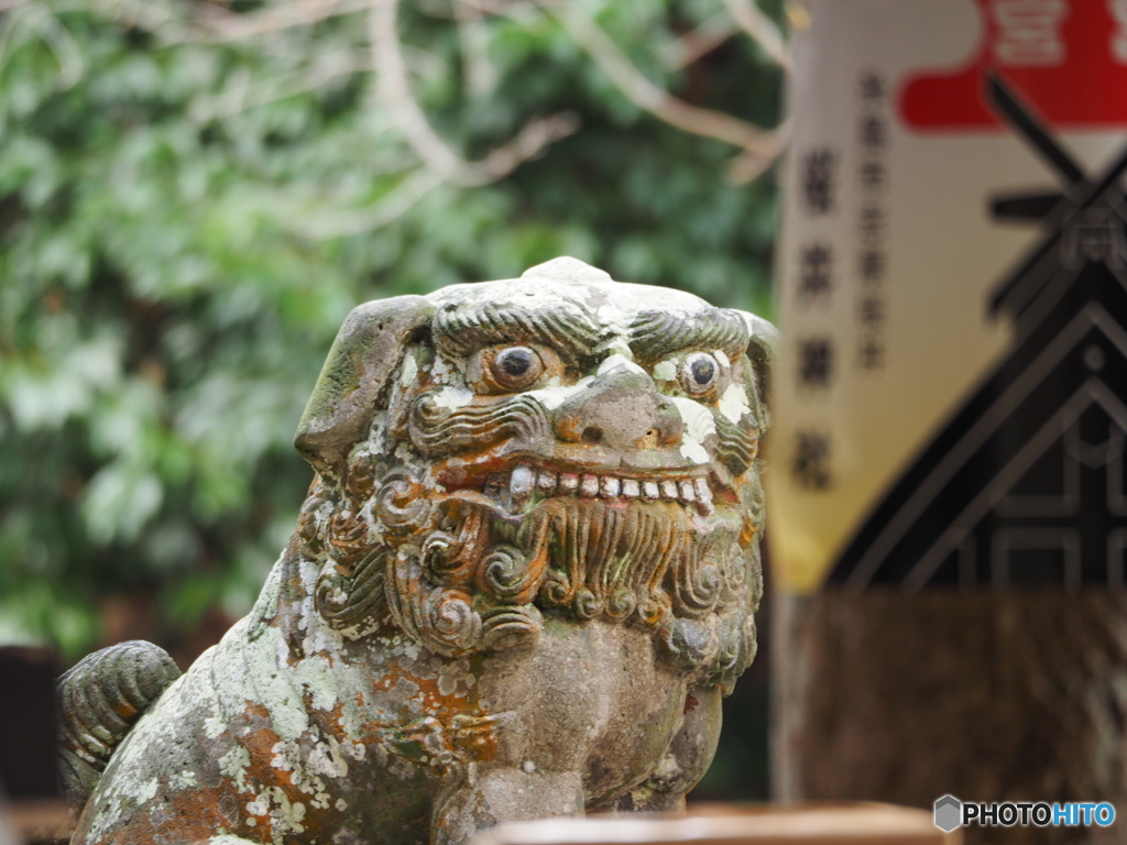 狛犬