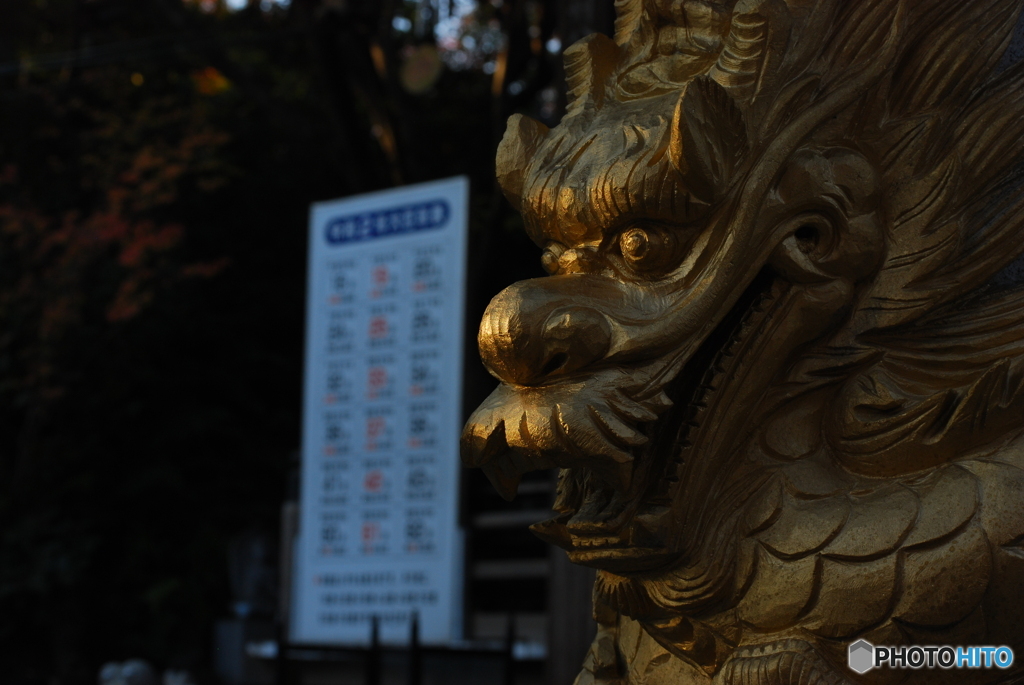 龍