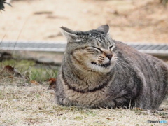 風が気持ちーー！