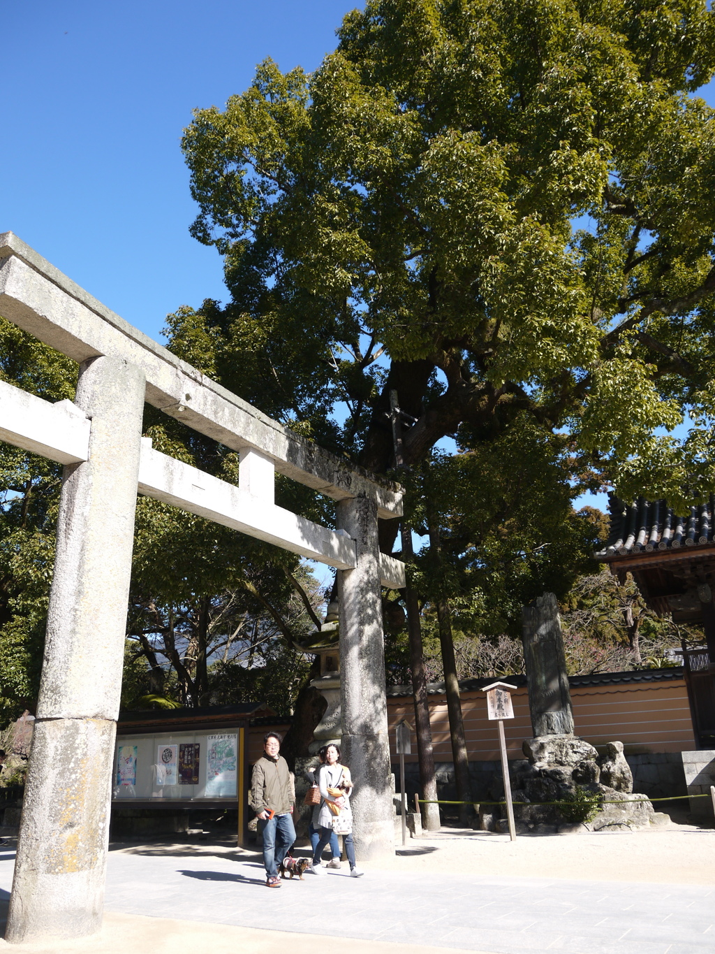 鳥居