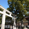 鳥居