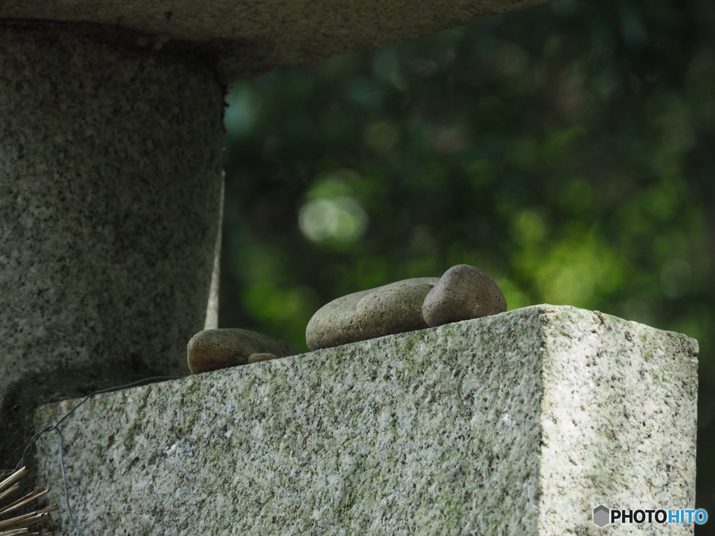 鳥居に乗せて何を願うか