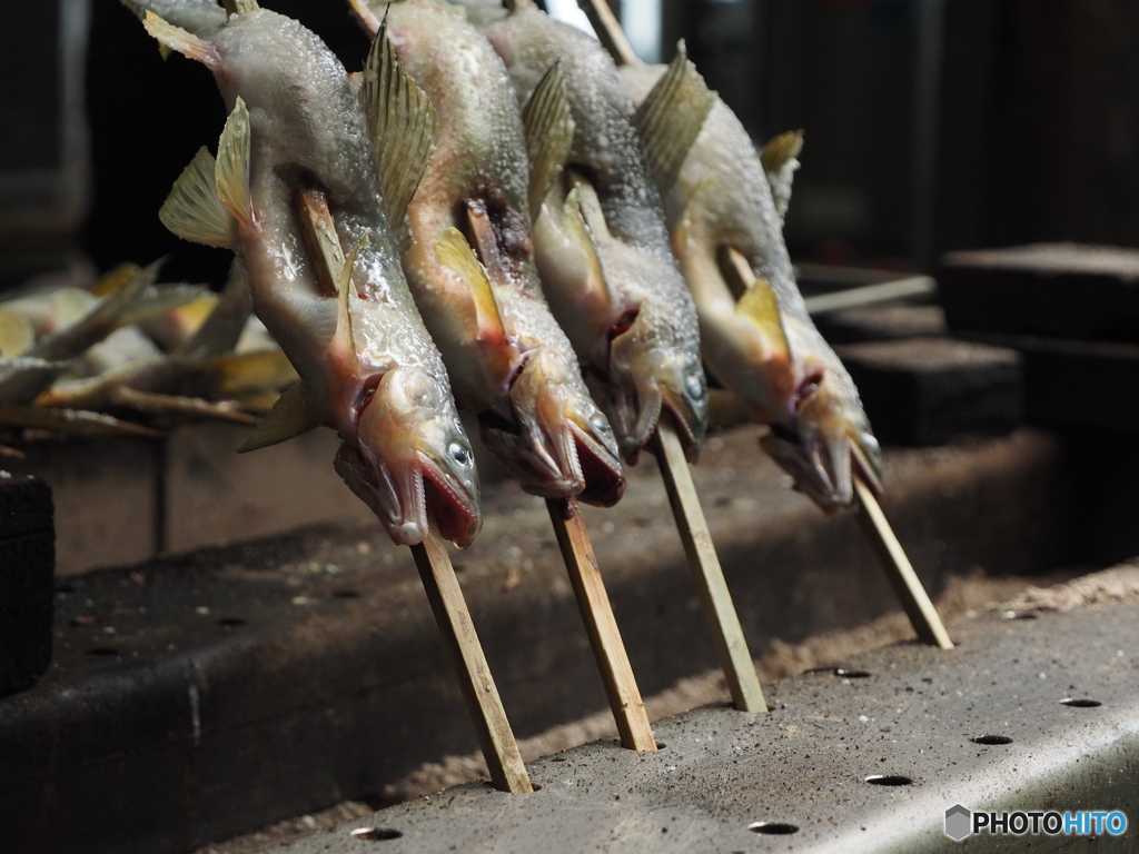 ヤマメの塩焼き