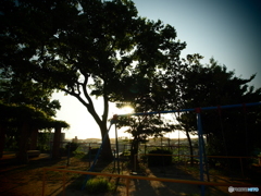 公園