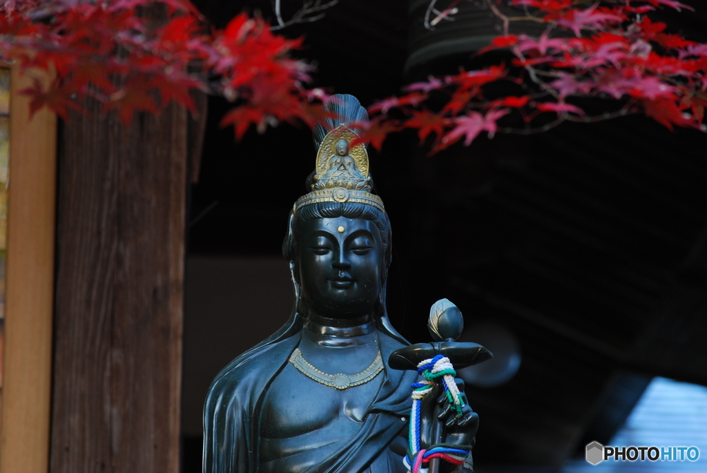 観音様と紅葉