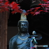 観音様と紅葉