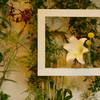 frame