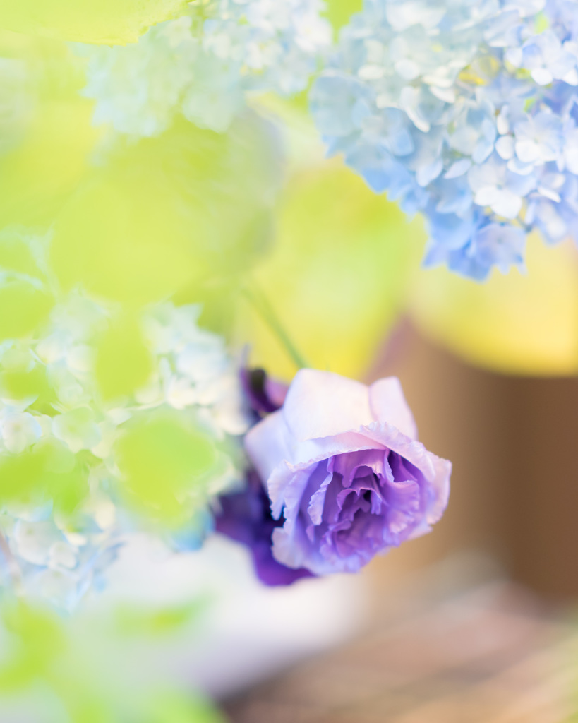 花と器のハーモニー2019