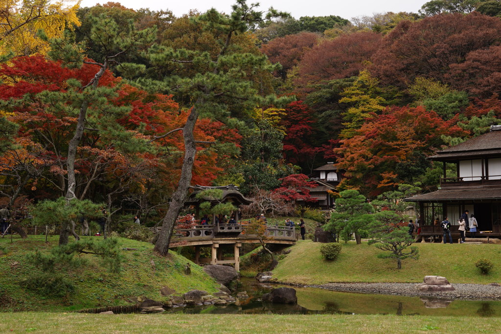 遅く来た秋