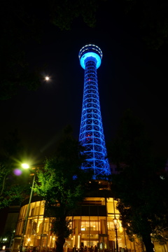Marin Tower - United Nations 70th blue -