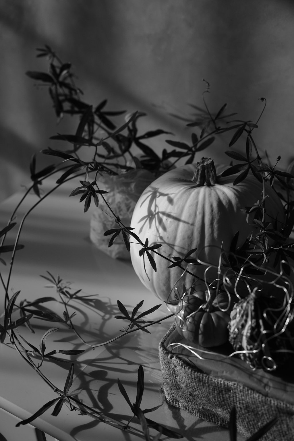 Happy Halloween♪ ～横浜西洋館ハロウィン装飾2019～