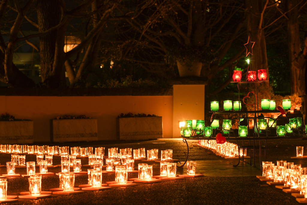 Candles Garden 