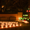 Candles Garden 