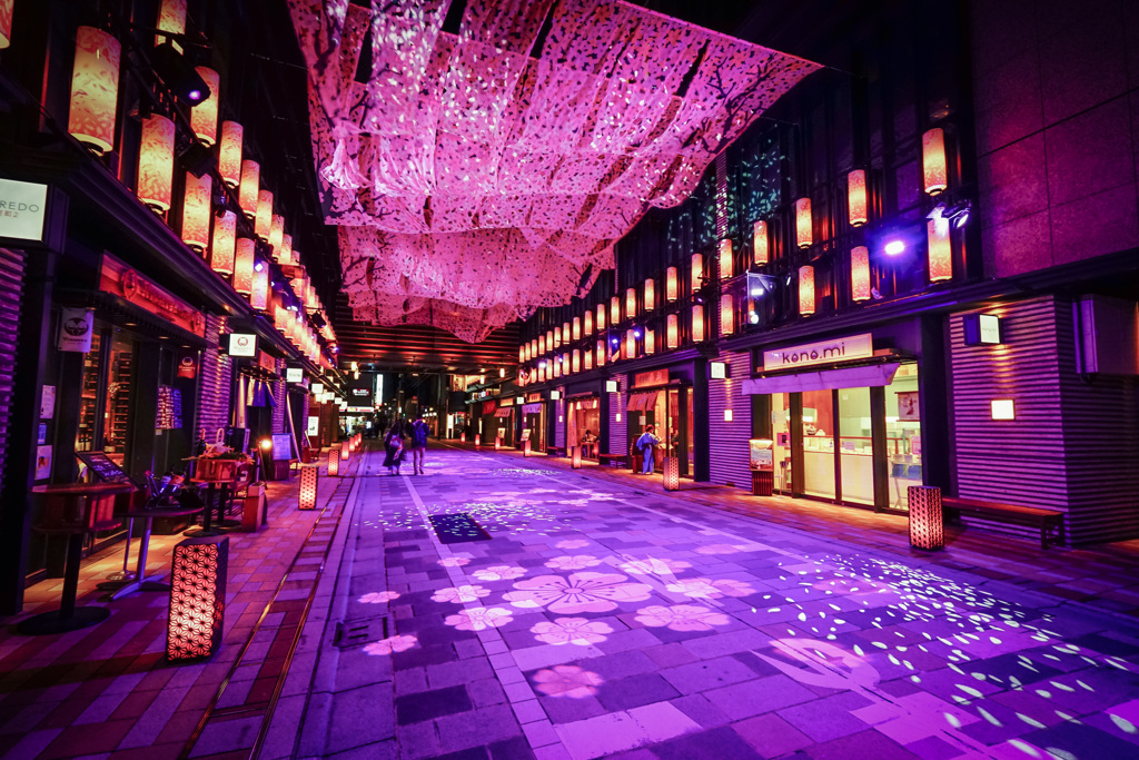 SAKURA TUNNEL