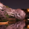 満開夜桜を船はゆく