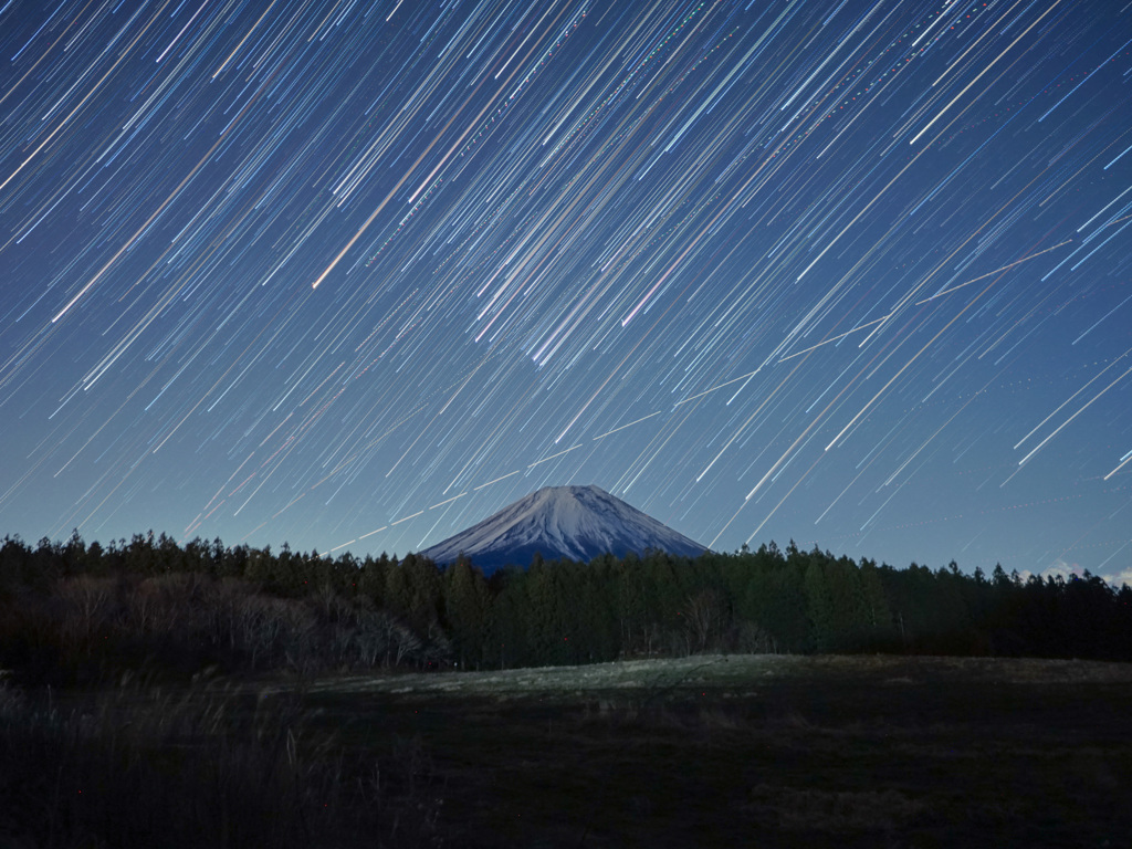 今年も一年お世話になりました。