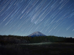 今年も一年お世話になりました。