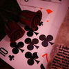 clover 10
