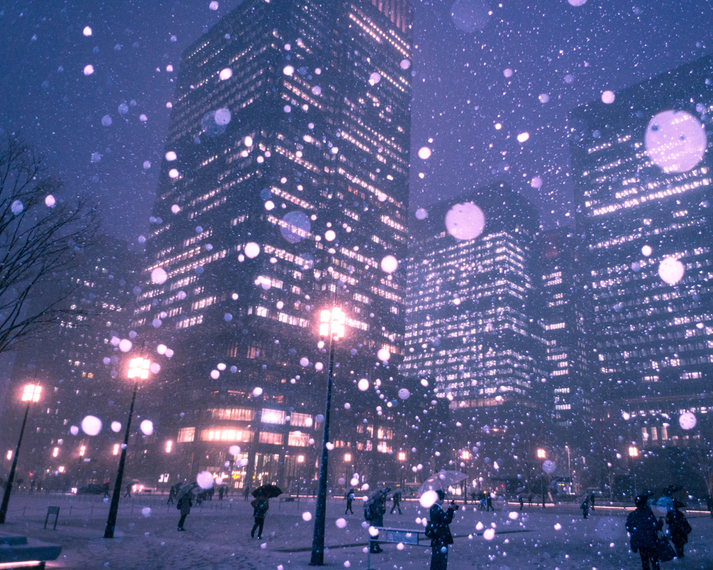 Lights in the snow