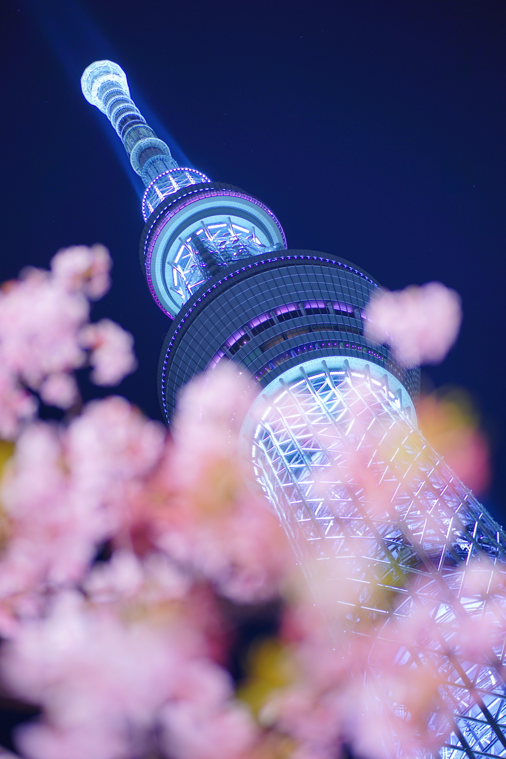 さくら雲
