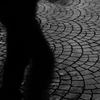 Steps